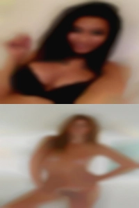 Free Florida swinger swingers ads.